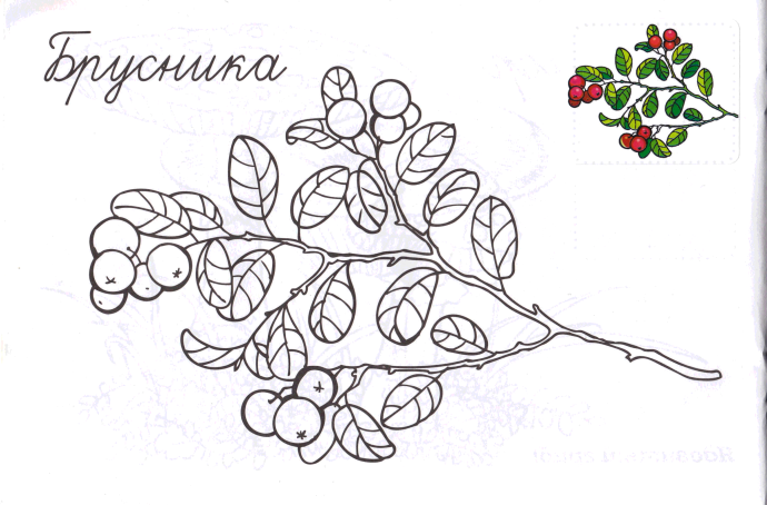 Катя Ширяева онлифанс