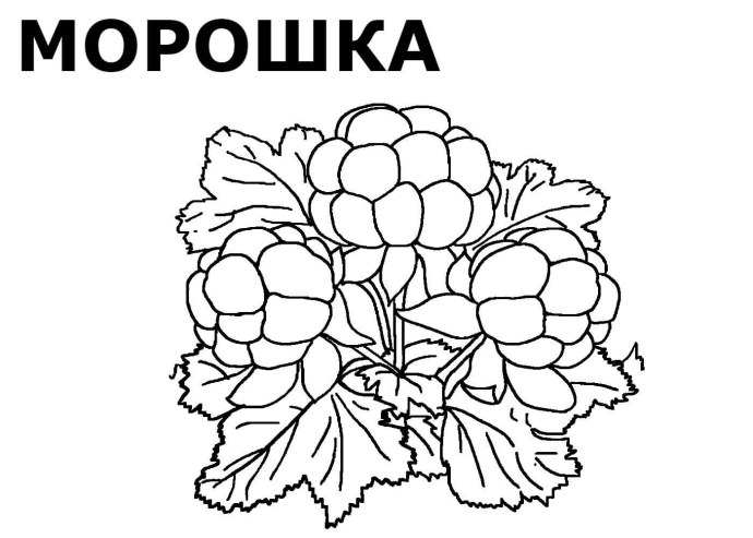 Мисс Олимпия Яна Кузнецова