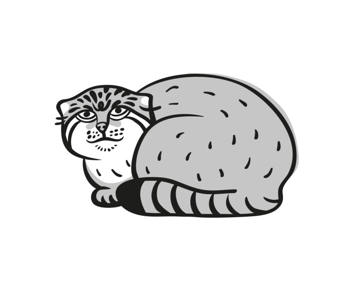 Кот Манул