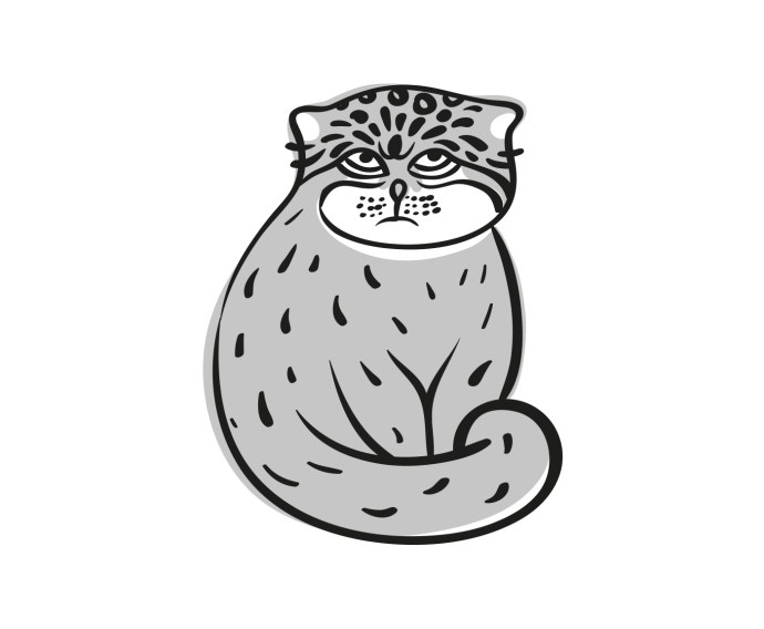 Катя Котаро 2019