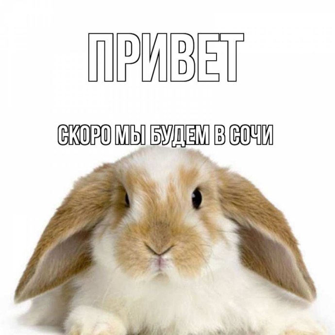 Максим лох