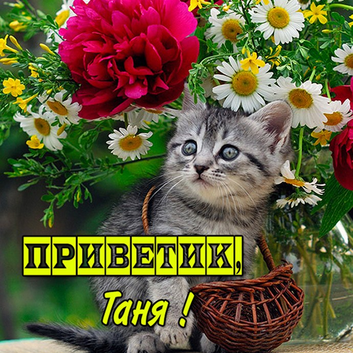 Привет переспим