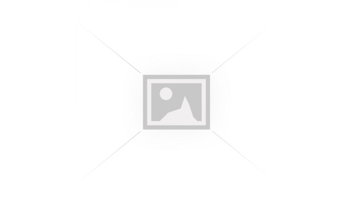 Zanussi ls6