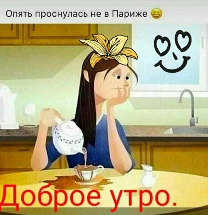 Кот наказан смешные картинки