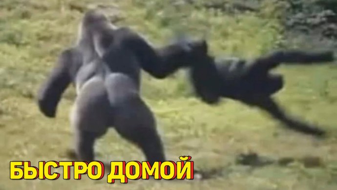 Брелок-пейджер Mongoose LS 9000d