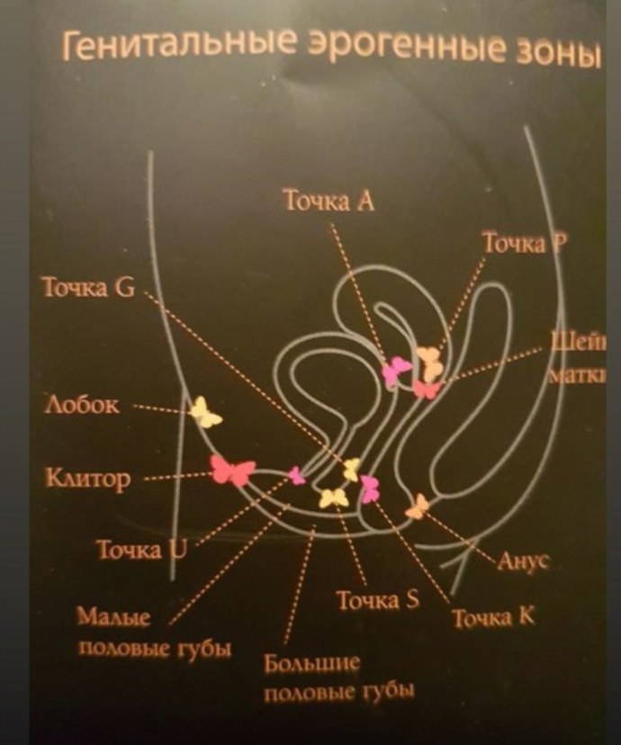 Эрогенные точки у женщин