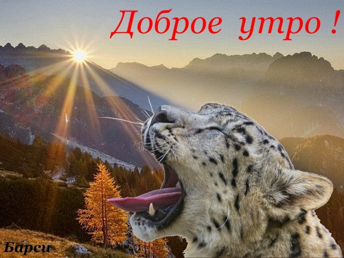 Поздравления с днём рождения Тамаре