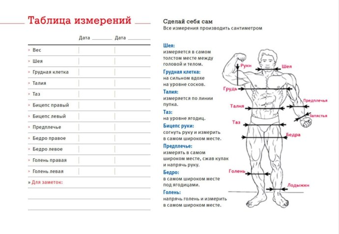 Замер члена