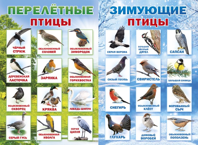Цитаты в интернете Ленин