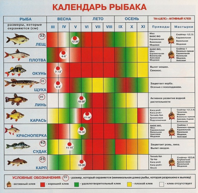 Карта мира со странами крупно на английском