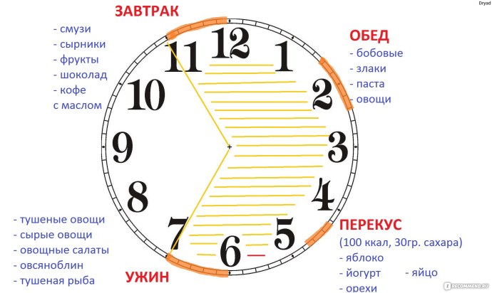 Интервальное голодание схемы по часам 16/8 схема