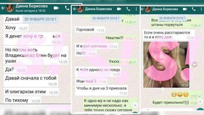 Дана Борисова переписка