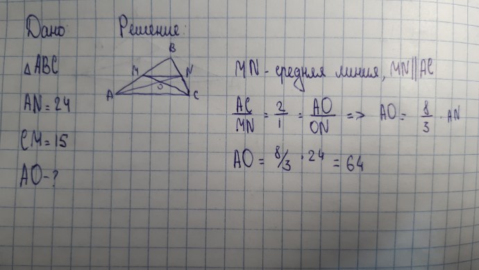 Мужской член крупным планом