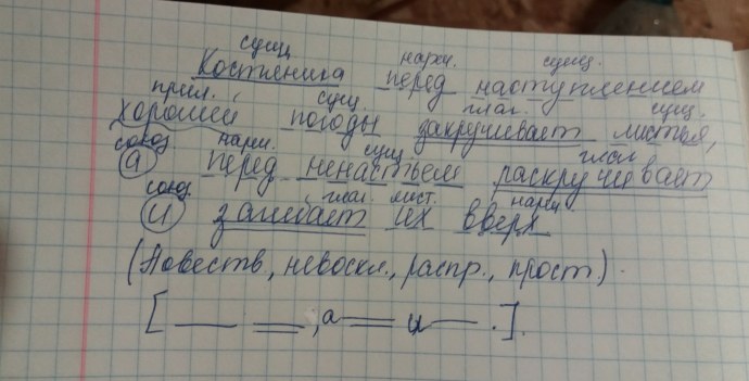 Белка синтаксический разбор