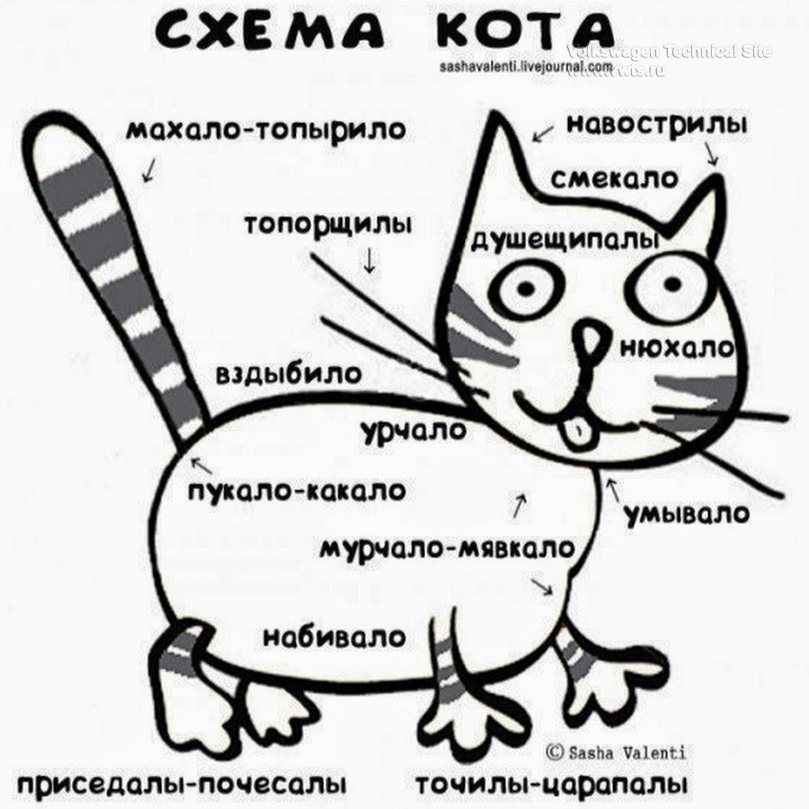 Красивые рисунки по клеткам ручкой