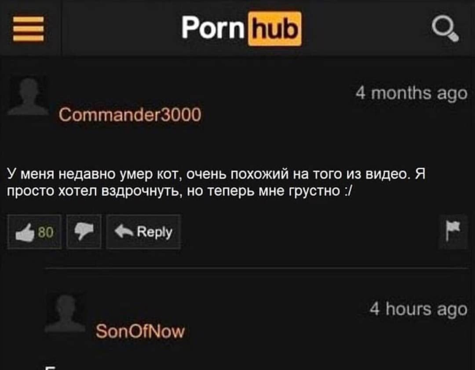 Смешные комментарии на Порнхабе