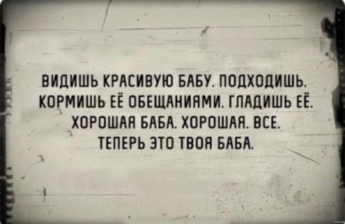 Мой любимый питомец хомяк сочинение