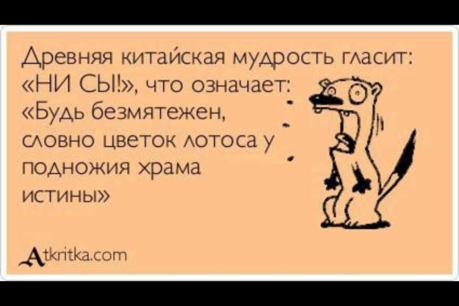 Смешные стихи про женщин