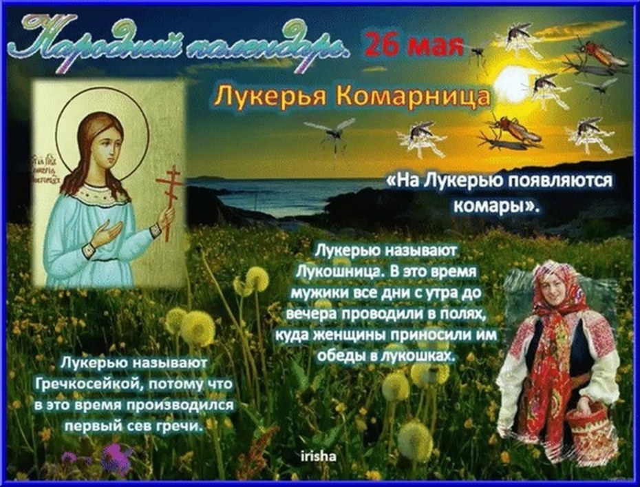 Экран смерти Windows 11