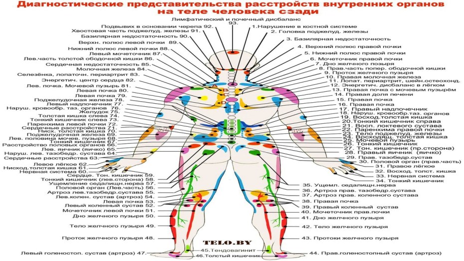 Футаж загрузки