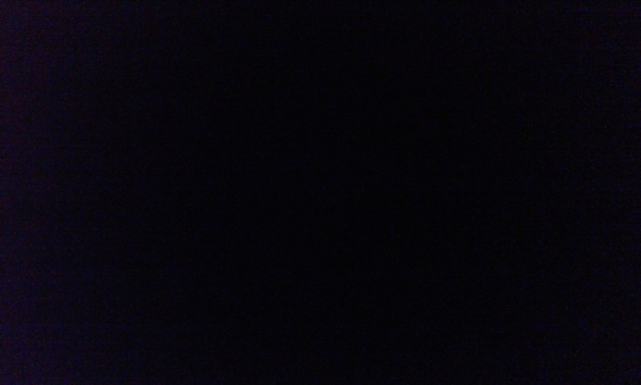 Шарлотта спрингер доменша