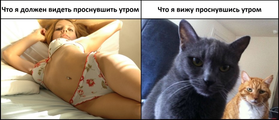 Это муж но мы с ним просто друзья