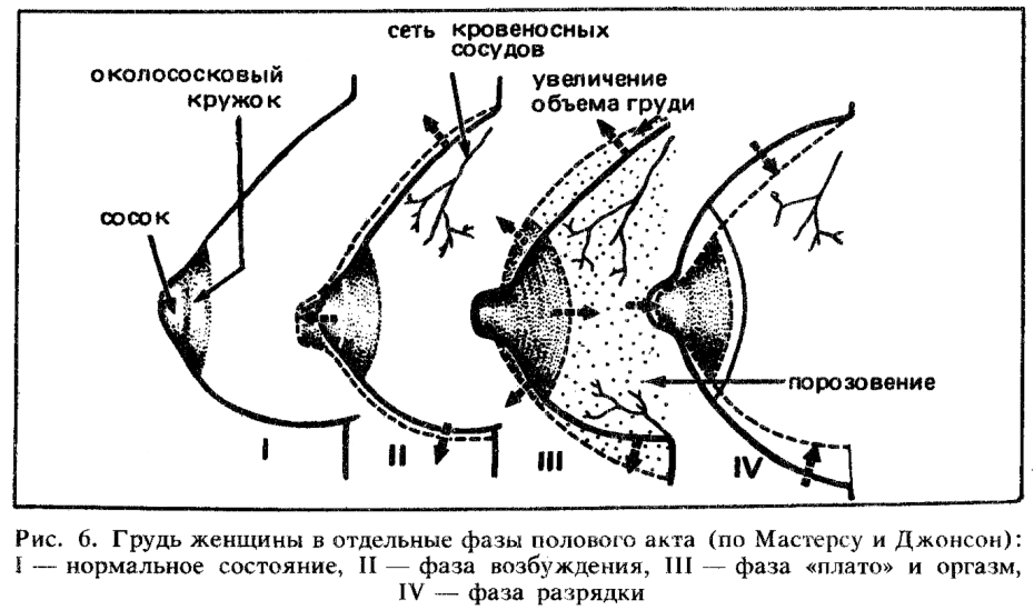 Анна плетнёва сейчас 2021