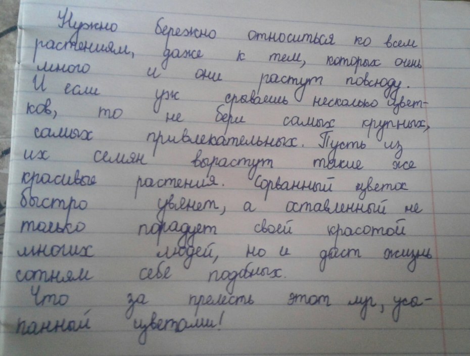 Расписание хирурга