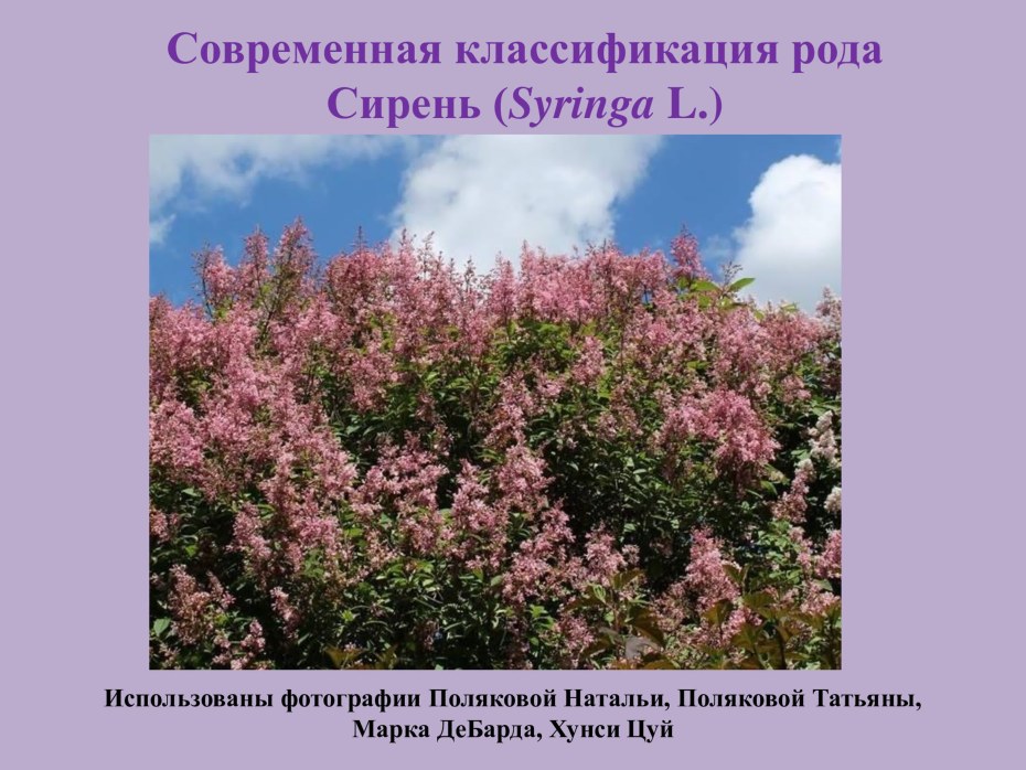 Аниме обои