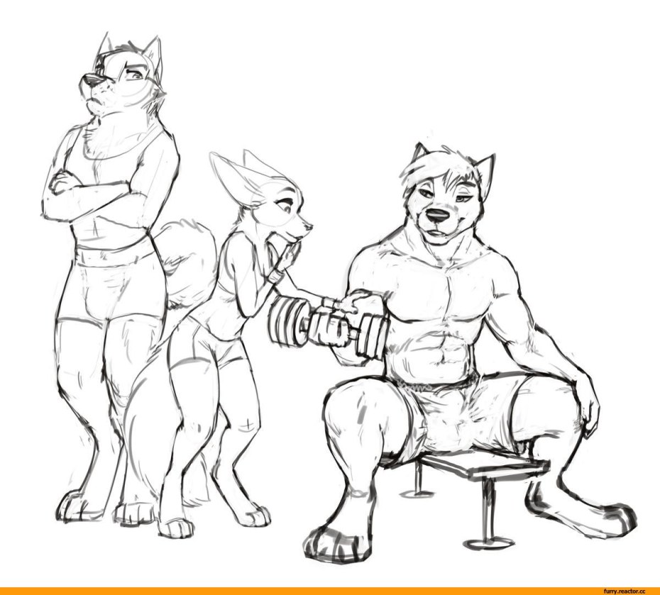 Zootopia Zaush
