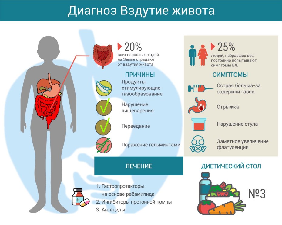 Дарья Моргендорфер хентай
