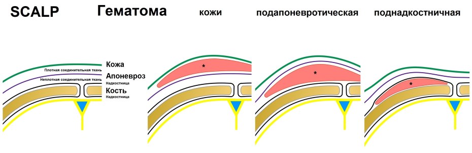 Мэдисон Кензи ебется в чулках