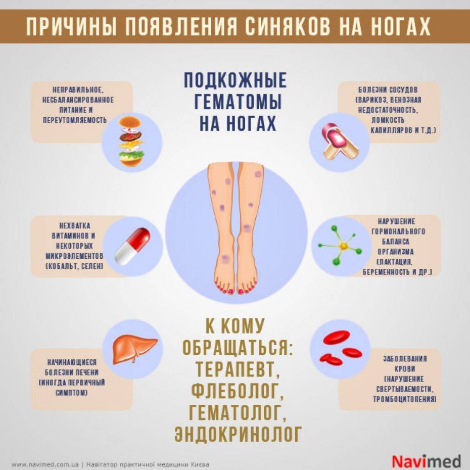 Растение залечивающее синяки