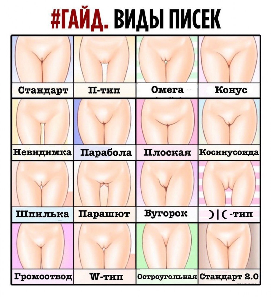Джейми Маккартни «Великая стена вагин»