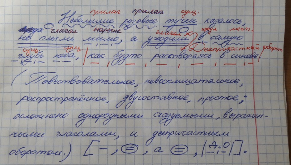Лера Кудрявцева трусы