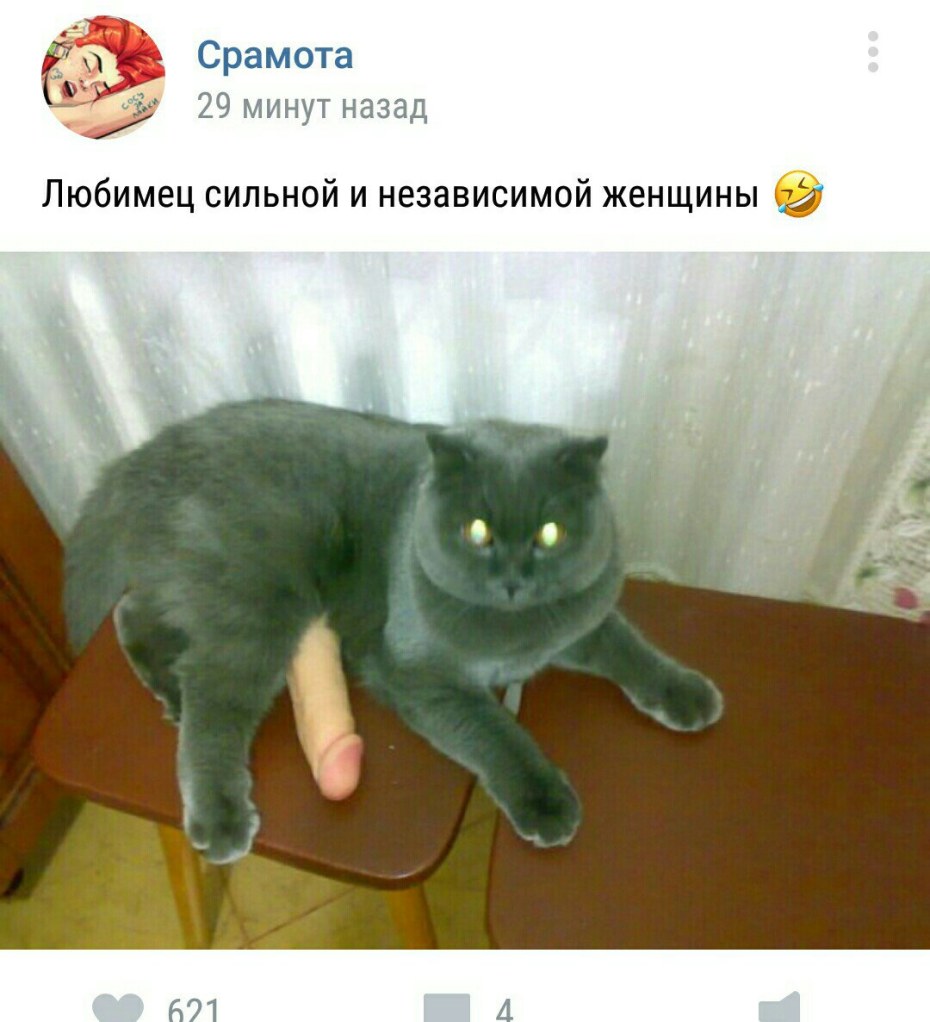 Кунг фу Панда тигрица 3418+