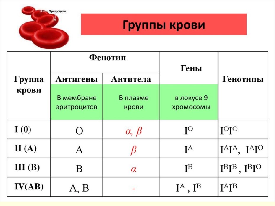 Ния Теппелин