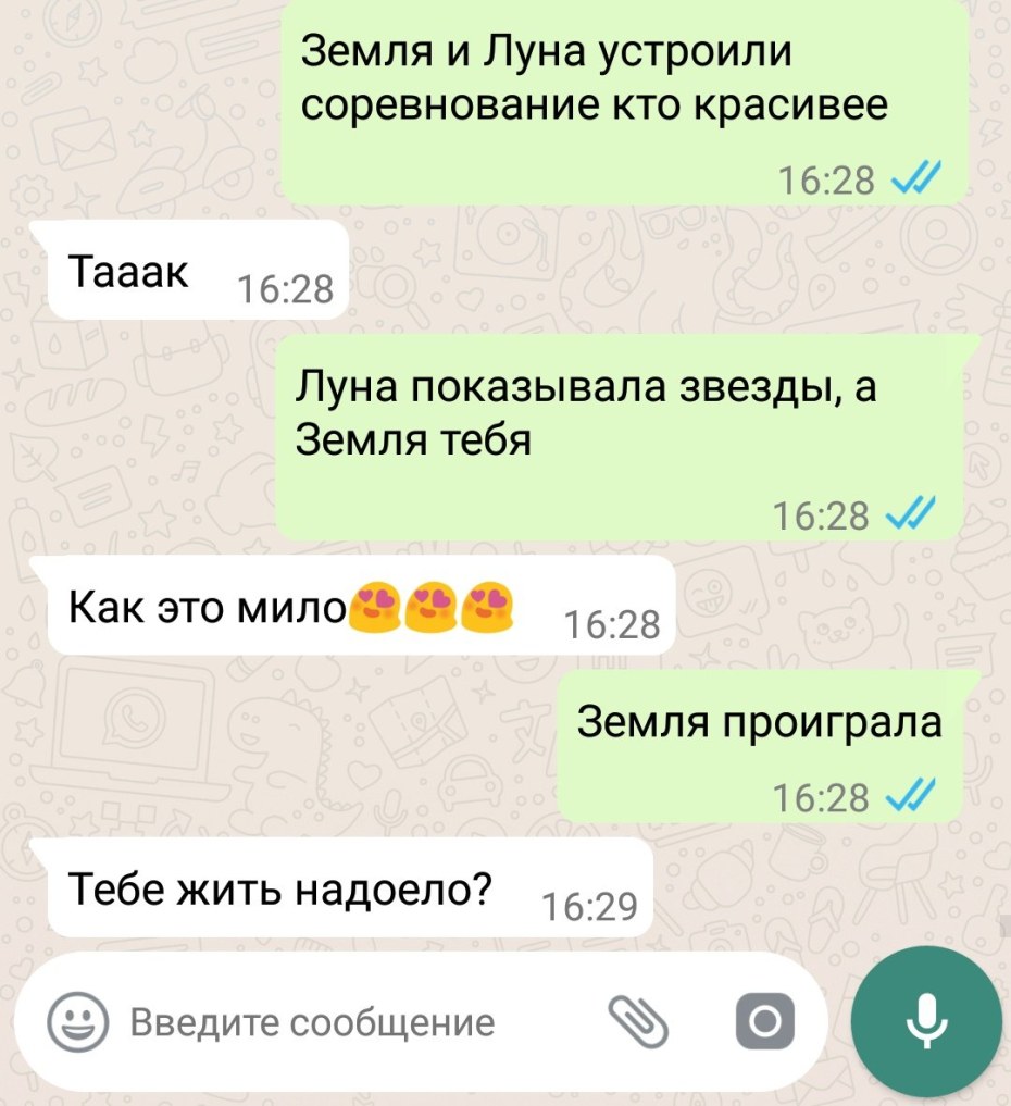Художница Камилла Зарбалиева