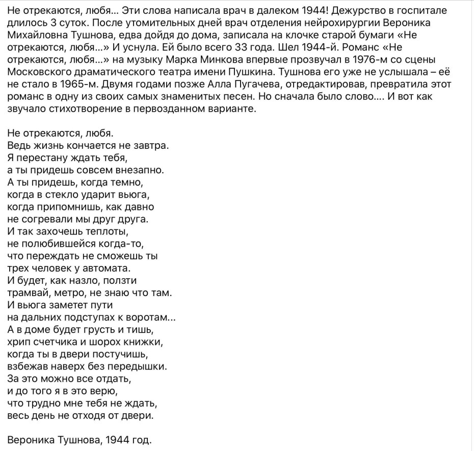 Кот на мониторе