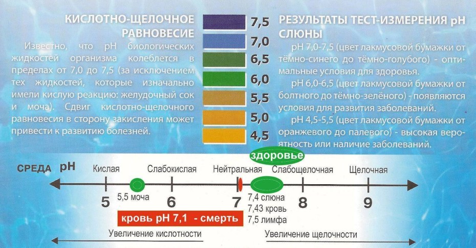 Молодая минетчица в гольфах
