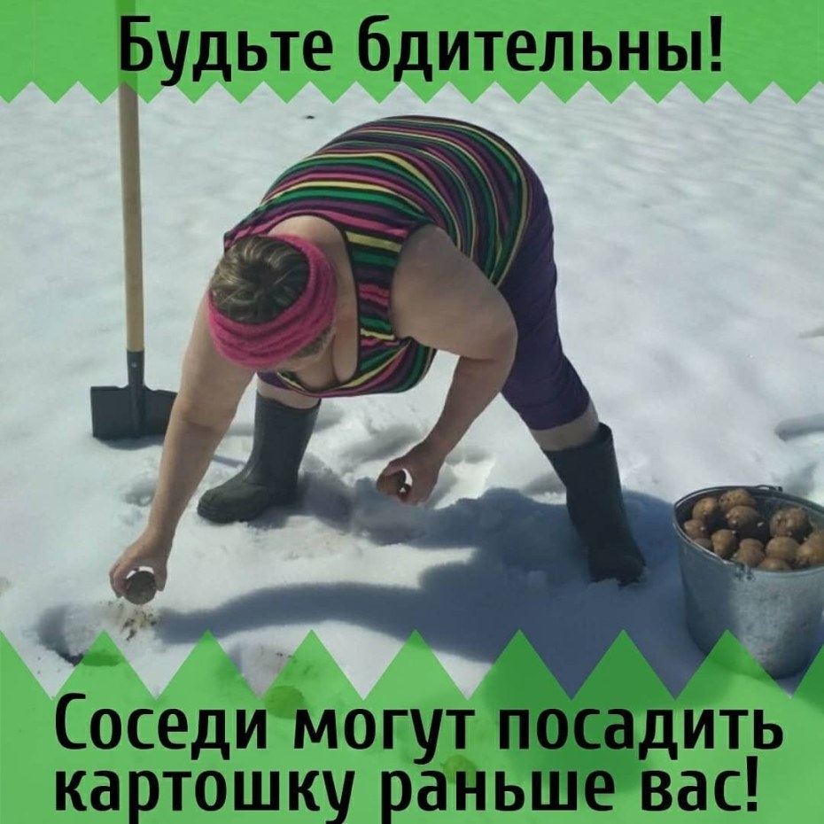 Пора сажать
