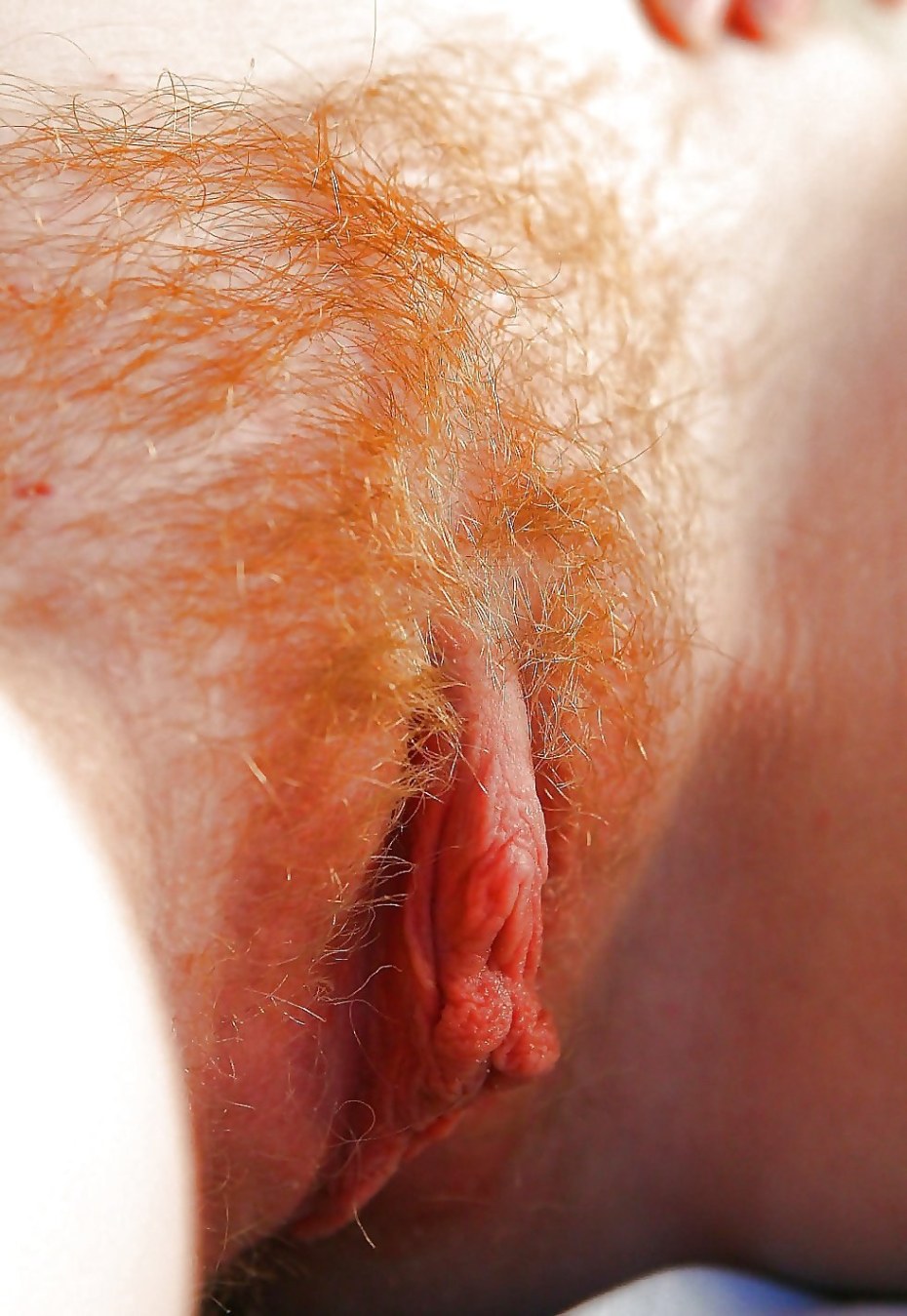 Рыжая Ариель Пайпер creampie