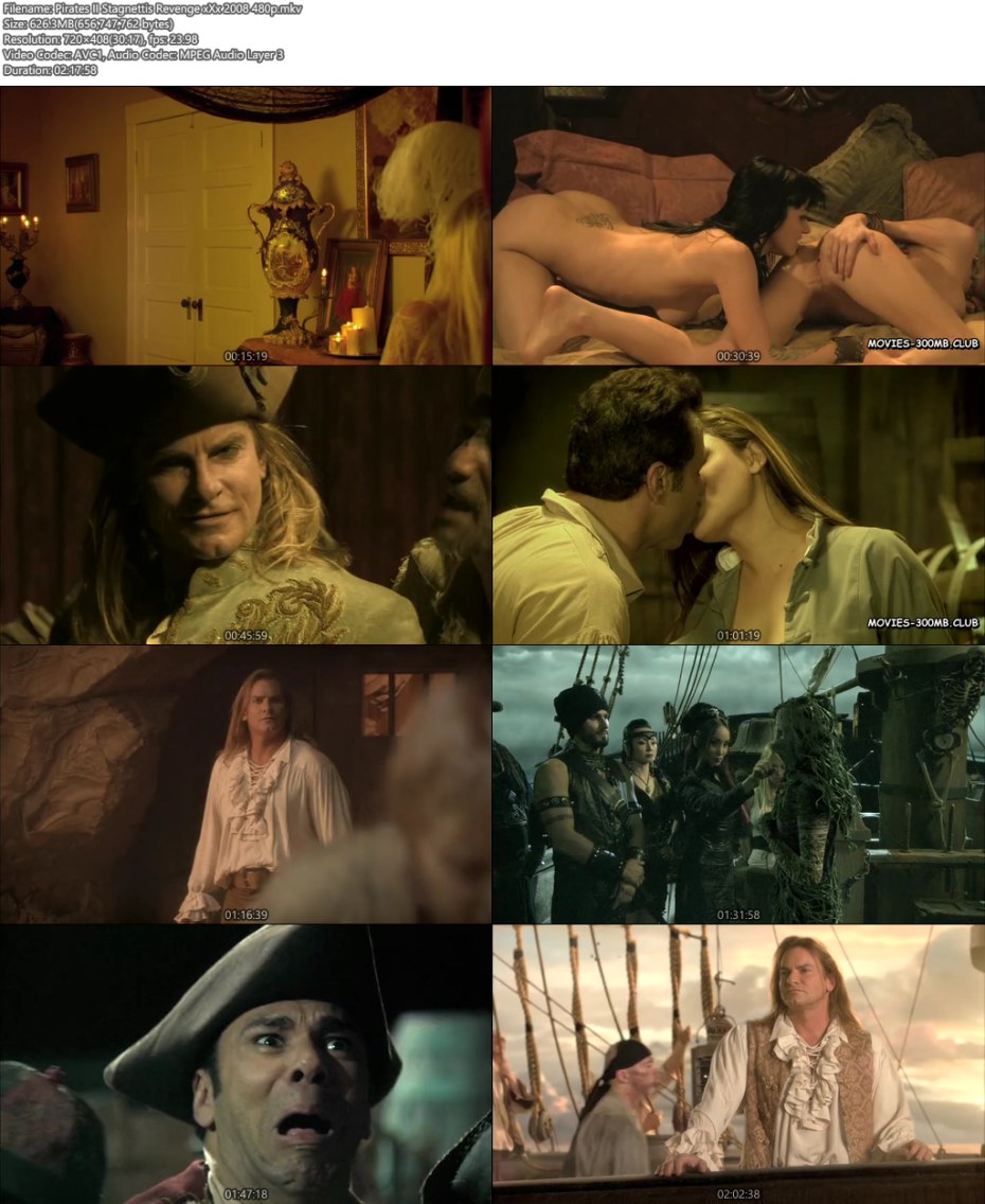 Пираты 2: месть стагнетти / Pirates II: Stagnetti's Revenge (2008)