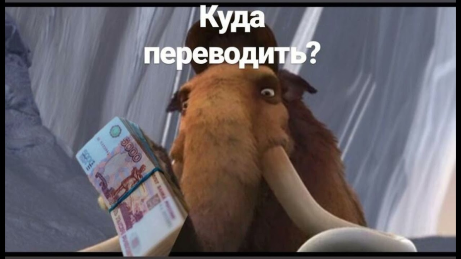Мамонт переводит деньги