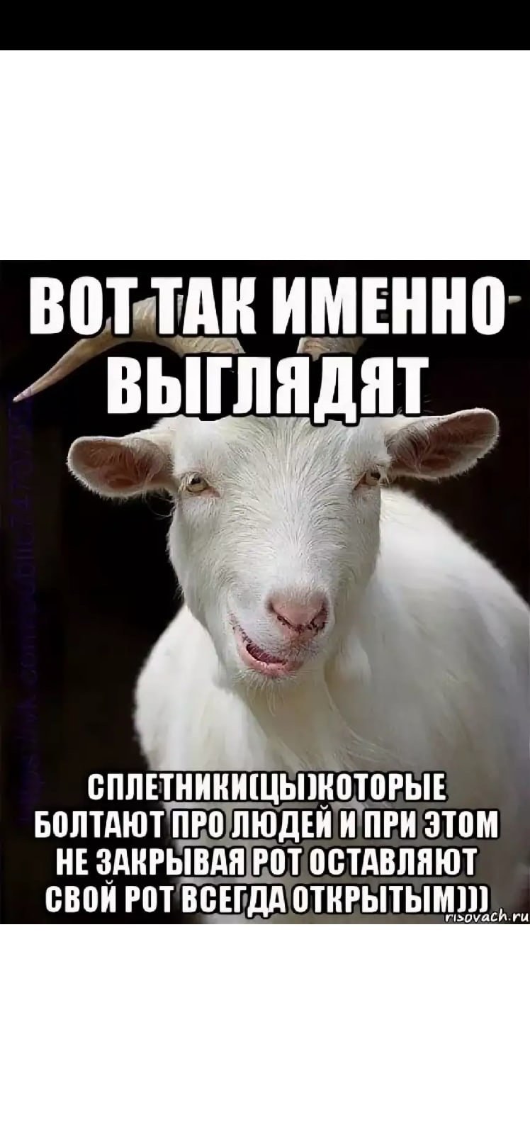 Ирина Асмус (Ириска) клоунесса