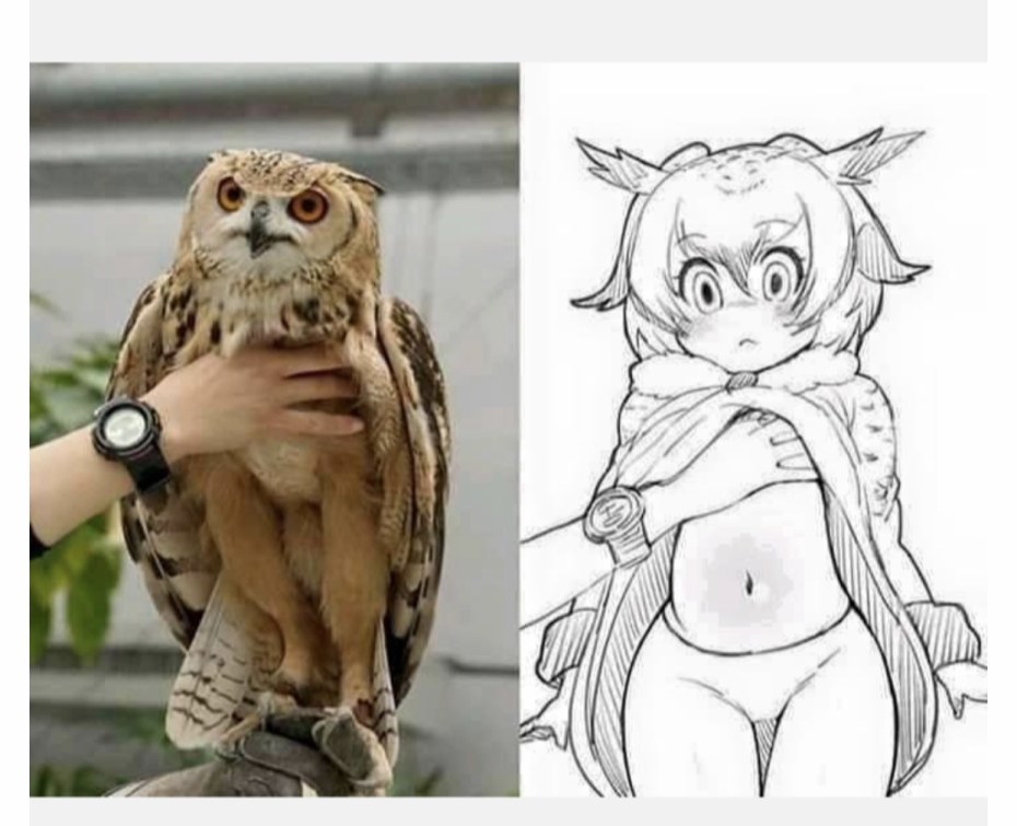Сова тян