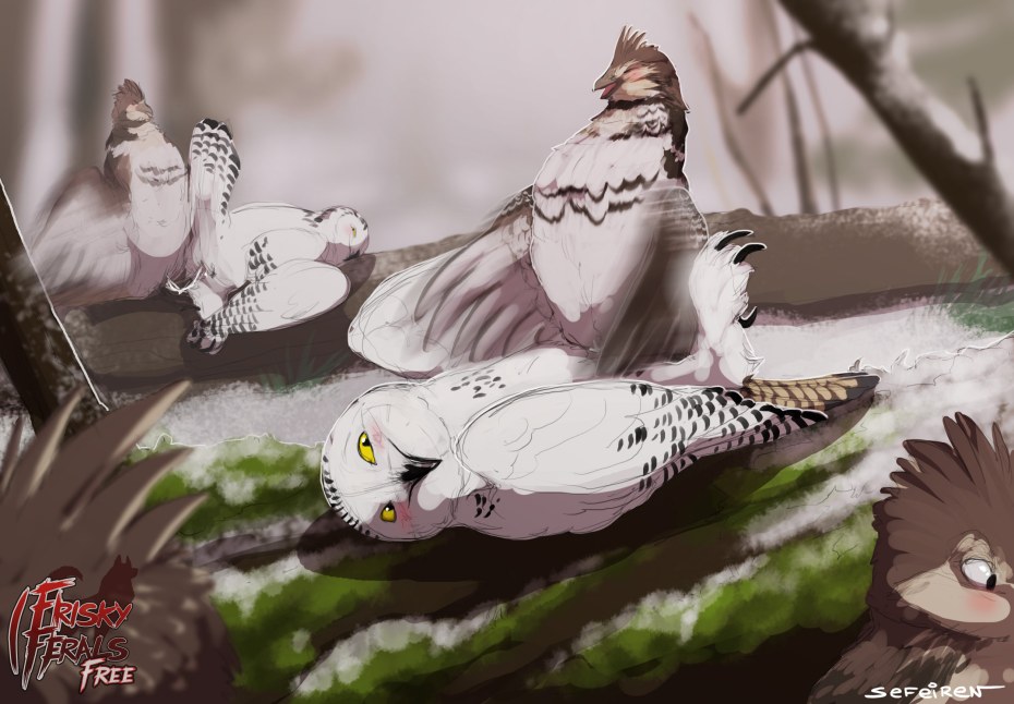 Hentai feral клоака птицы и человек