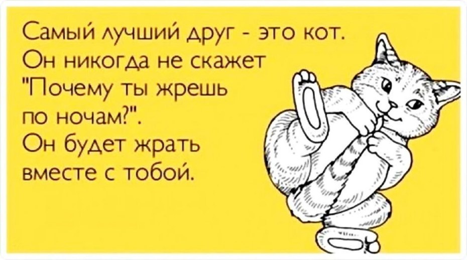 Болит голова юмор