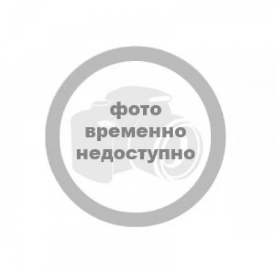Синяк обыкновенный— Echium vulgare l.