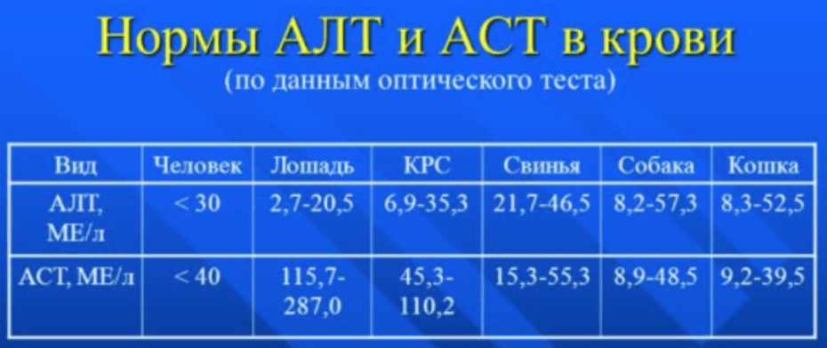 Пацанки 5 сезон Ася Митронина